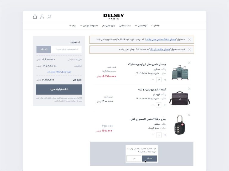 Delsey Iran Branch Checkout Design